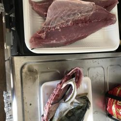 泉佐野でハマチ大(ほぼメジロ)