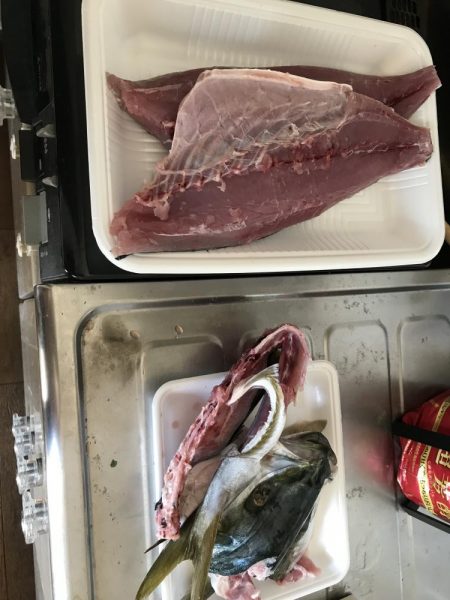 泉佐野でハマチ大(ほぼメジロ)