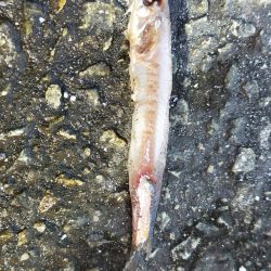 西宮ケーソンでサバゲー