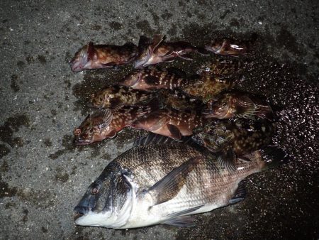 武庫一でライトワインド！