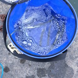 久々子湖のサヨリ