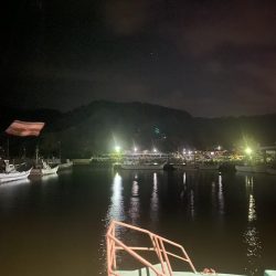 ナイトアジングです