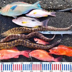 沖ノ島遠征part2