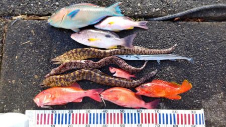 沖ノ島遠征part2