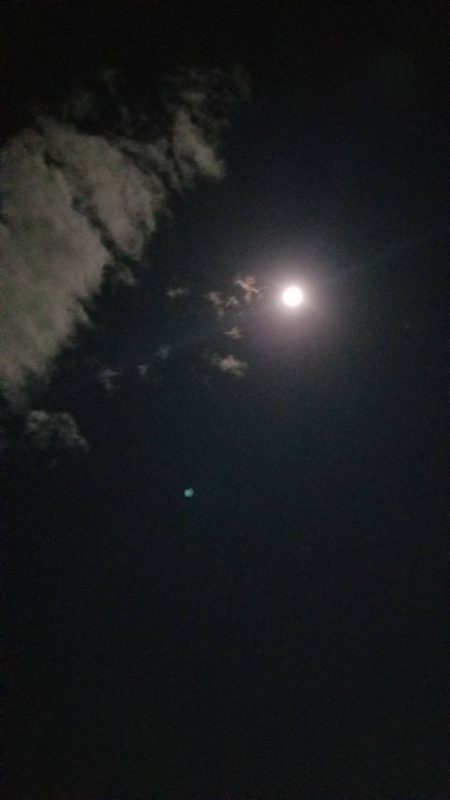 一気に寒さが、強くなりました。