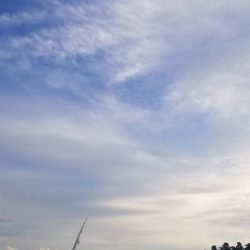 一気に寒さが、強くなりました。