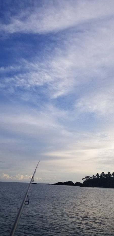 一気に寒さが、強くなりました。