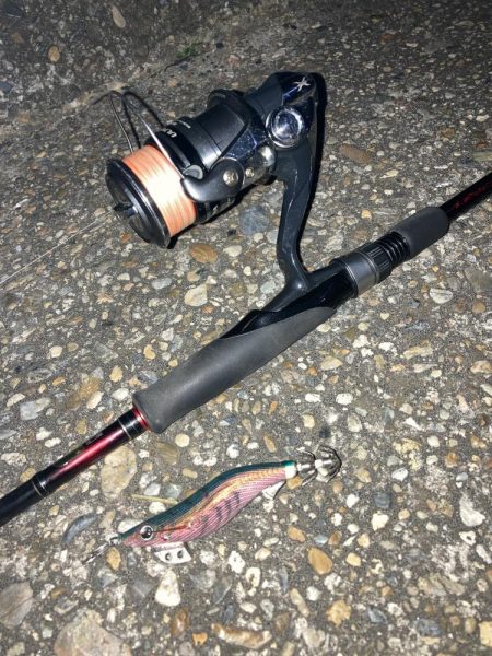 ポツポツとアオリイカとケンサキイカ4杯(^。^)