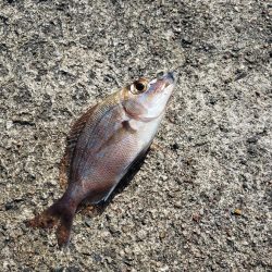 台風がこなかったので