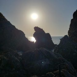 青モンは留守でした