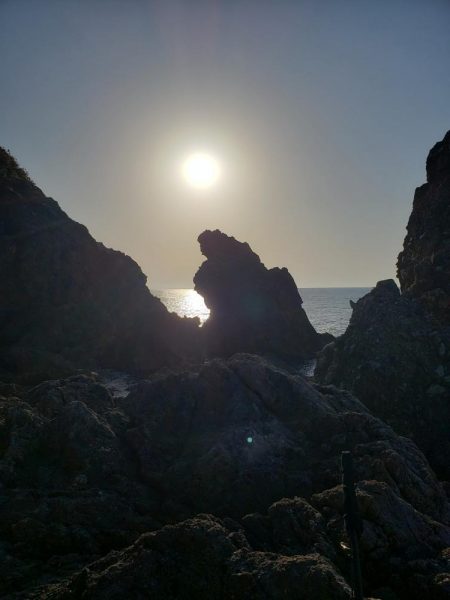 青モンは留守でした