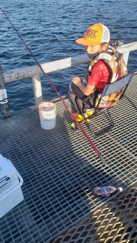 マハタとコウイカが釣れました❗