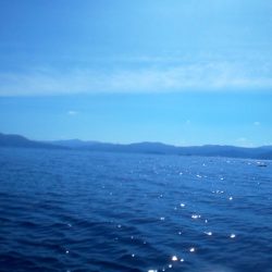 秋イカは簡単なの？