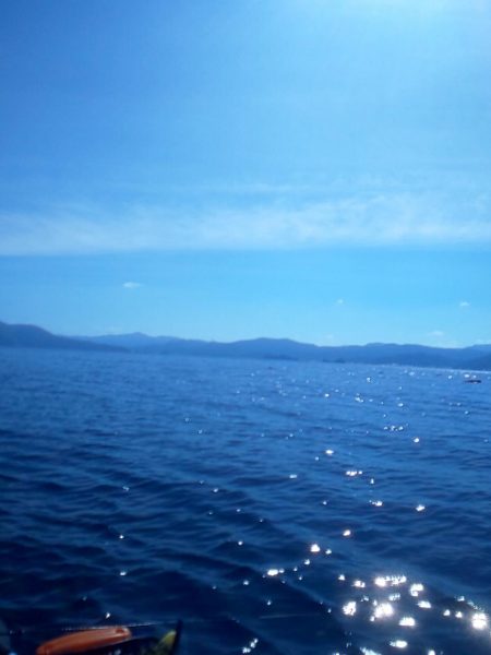 秋イカは簡単なの？