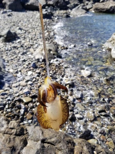 リベンジならず秋サイズ(..)