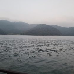 今日は不発rルアー