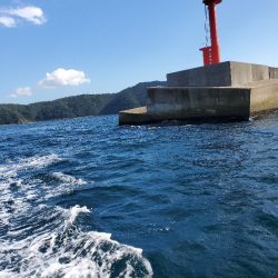 いざ、小浦一文字