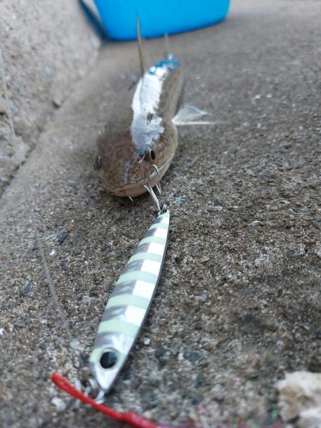 プチsalt water game