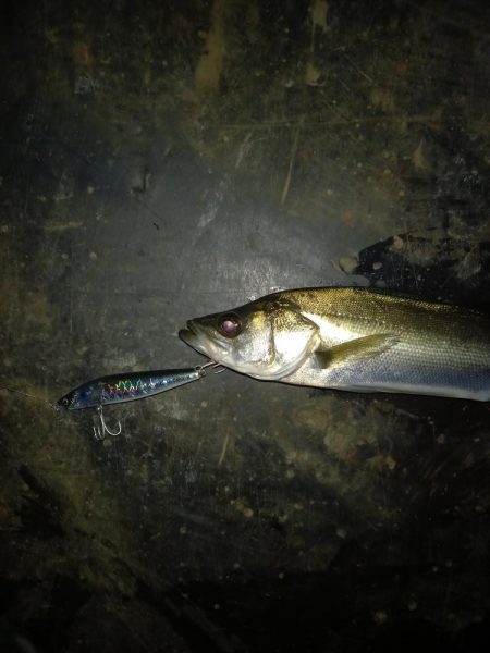 強風でラインコントロール出来ず