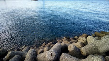 もう居てますね