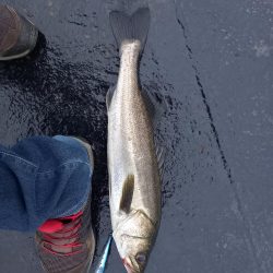 フラッシュブーストは凄い