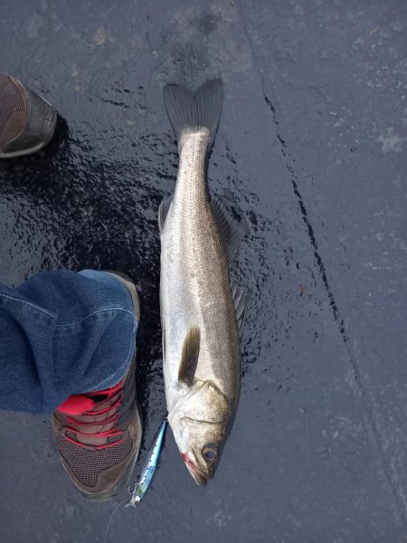 フラッシュブーストは凄い