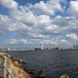 淀川でサヨリ釣り