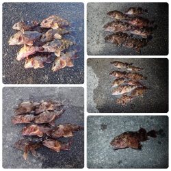 大切なポイント選び！