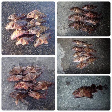 大切なポイント選び！