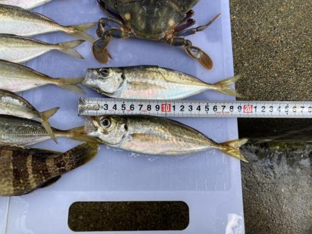 初投稿！釣り歴7年目の中学2年生でぇーす