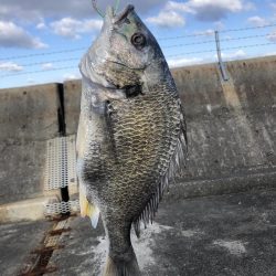 青物との縁は遠い…