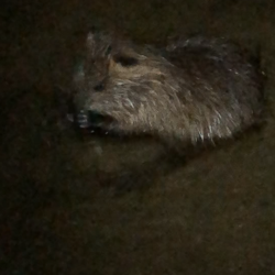 5目釣り…達成?