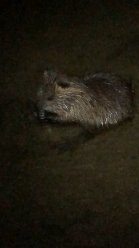 5目釣り…達成?