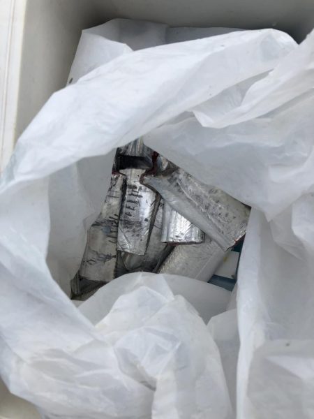 シブイ　タチウオさん