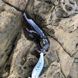 エギング&フカセ