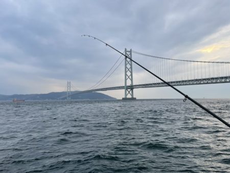 サバ祭り！タチウオもいるよ