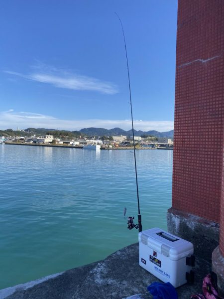 アオリ&タチウオ