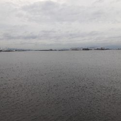 タチウオ&大鯖狙いで結局中鯖