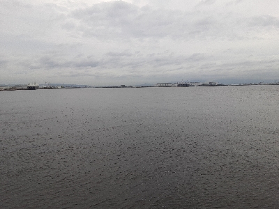 タチウオ&大鯖狙いで結局中鯖