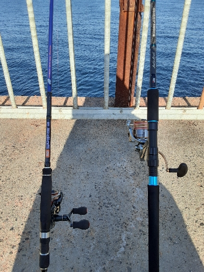 泉大津エリア調査