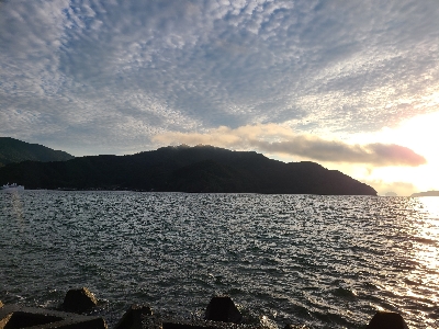 アジングは好調、ショアジギングは不調