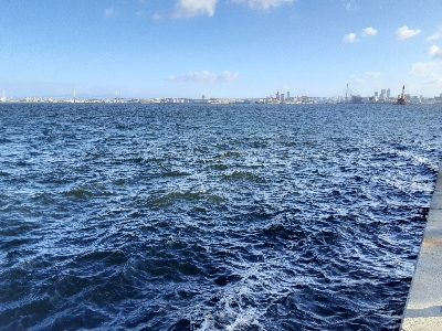 久しぶりの強い引き