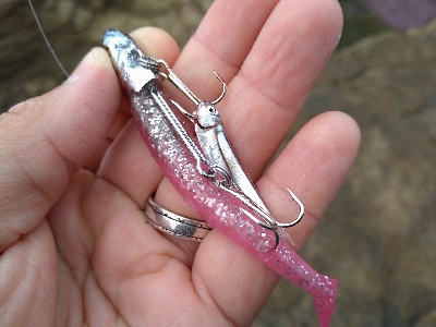 今シーズンラストエギング