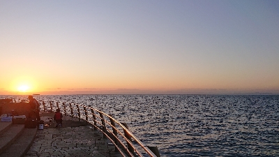 リベンジ達成でメジロ捕獲！