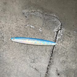 激シブジギング