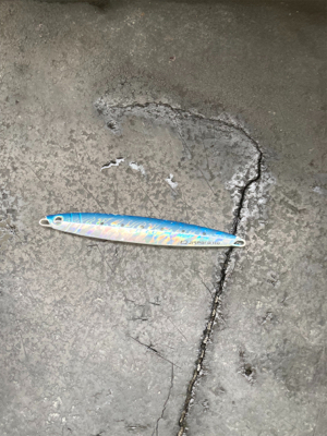 激シブジギング