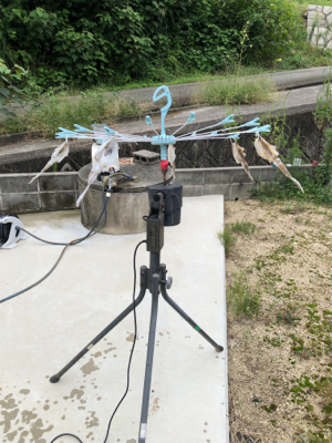 しまなみエギングまだ小さい