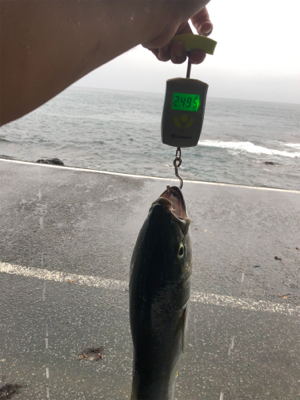 朝一水面ドカーン！！！