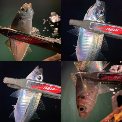 期間限定ポイント