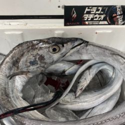 ドラゴンゲット!!